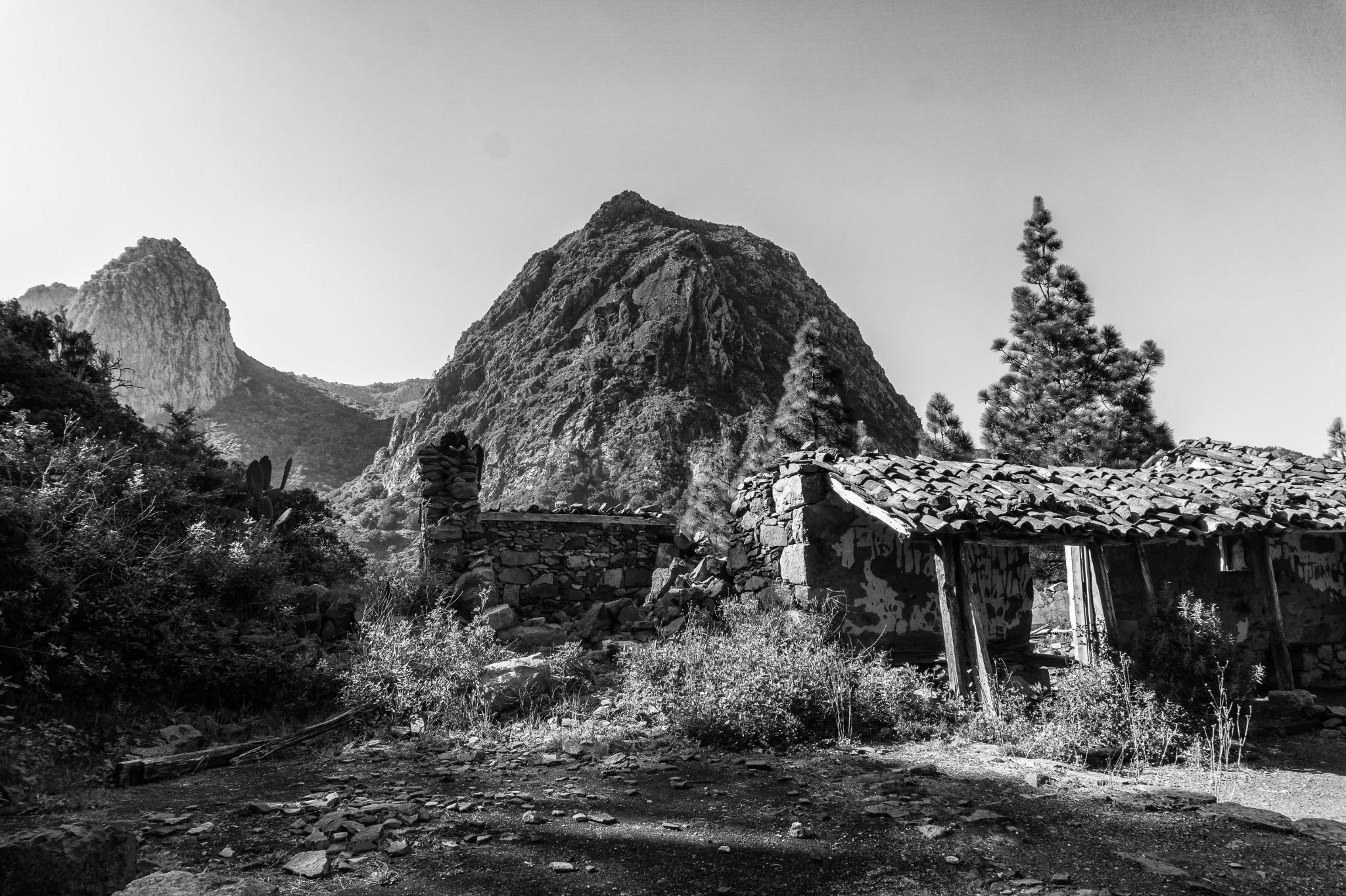  20190224 DSC07814 Bearbeitet